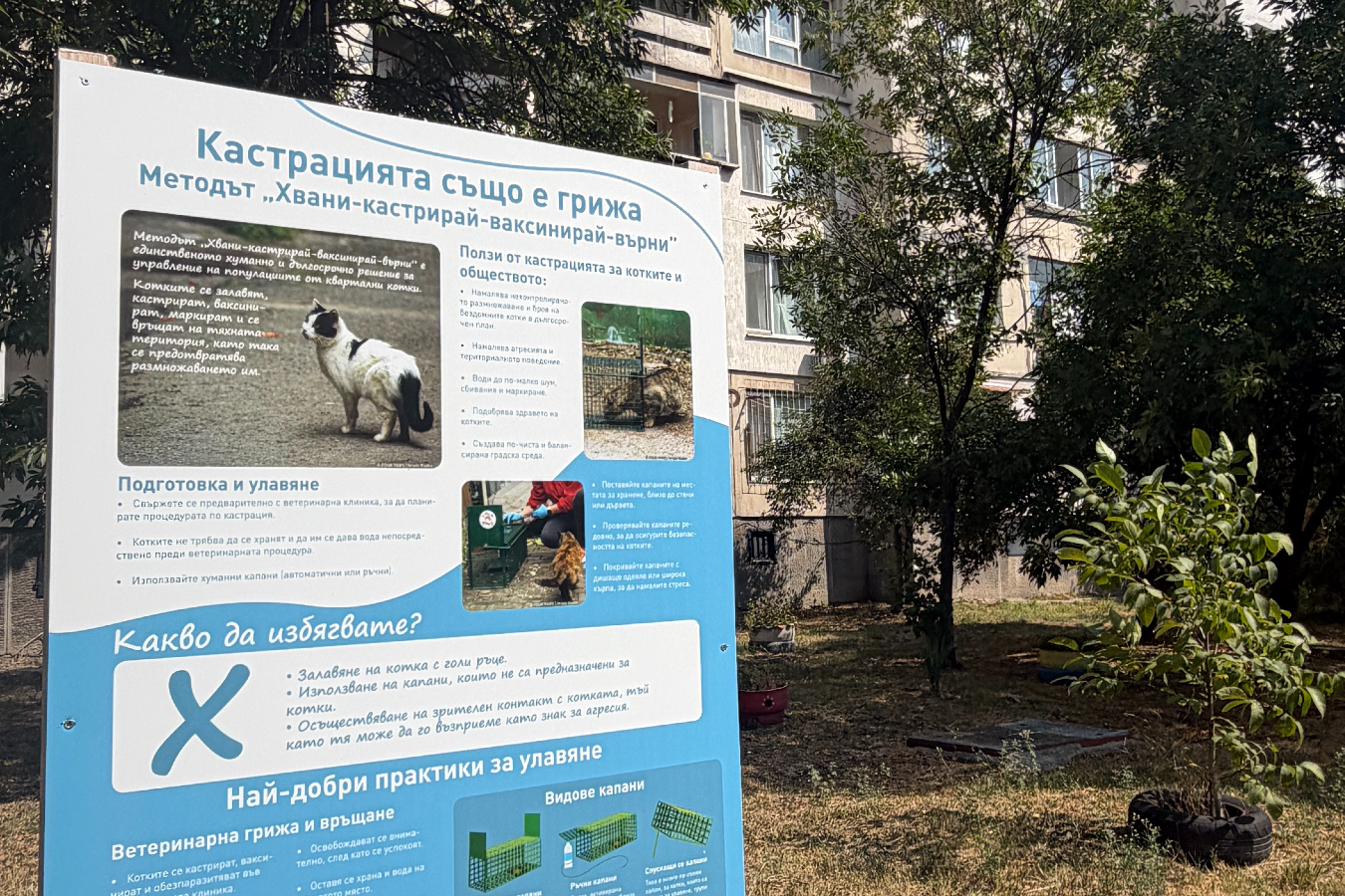 Инициатива на Фондация „Четири лапи“ насърчава отговорната грижа за кварталните котки